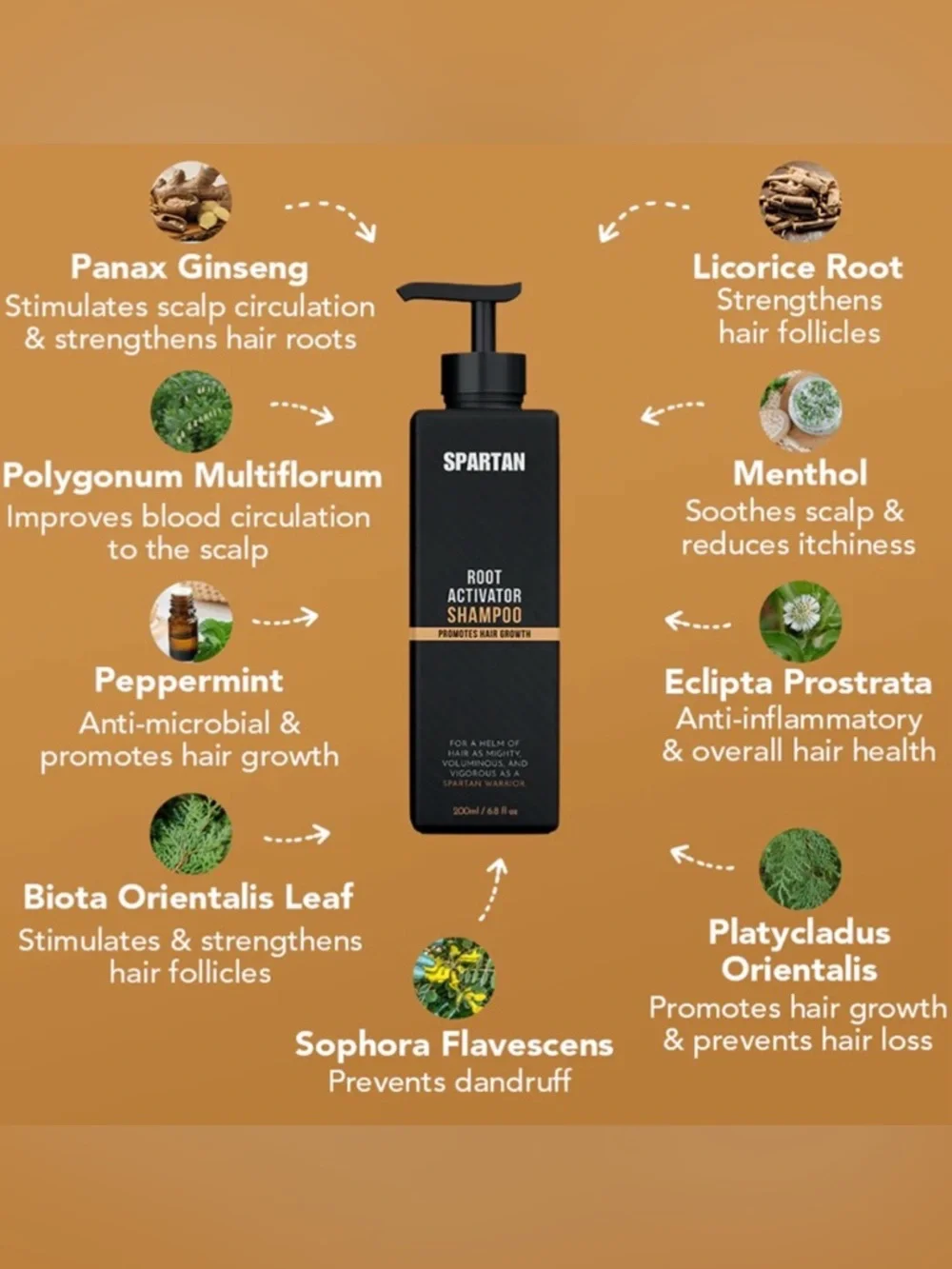 Spartan: Root Activator Shampoo- Promotes Hair Growth For Women & Men - Picture 4 of 11